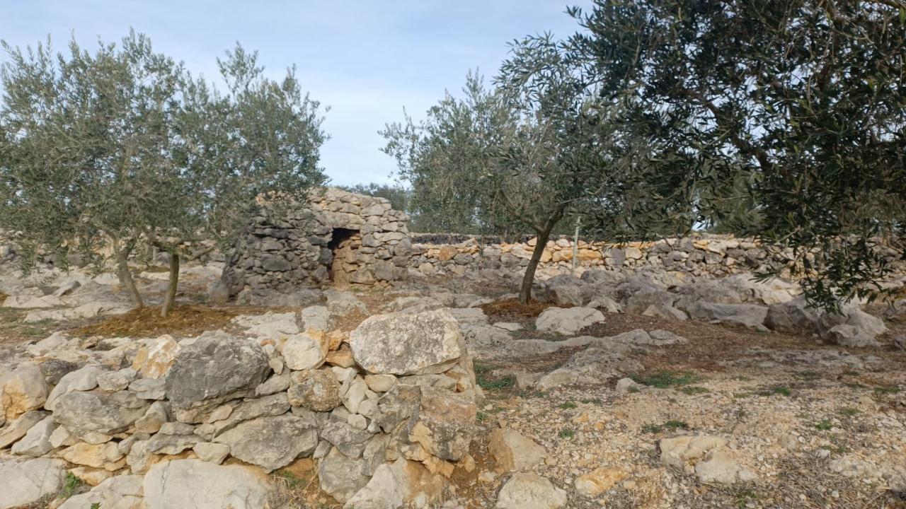 Avinyonet de Puigventós 3Natura מראה חיצוני תמונה