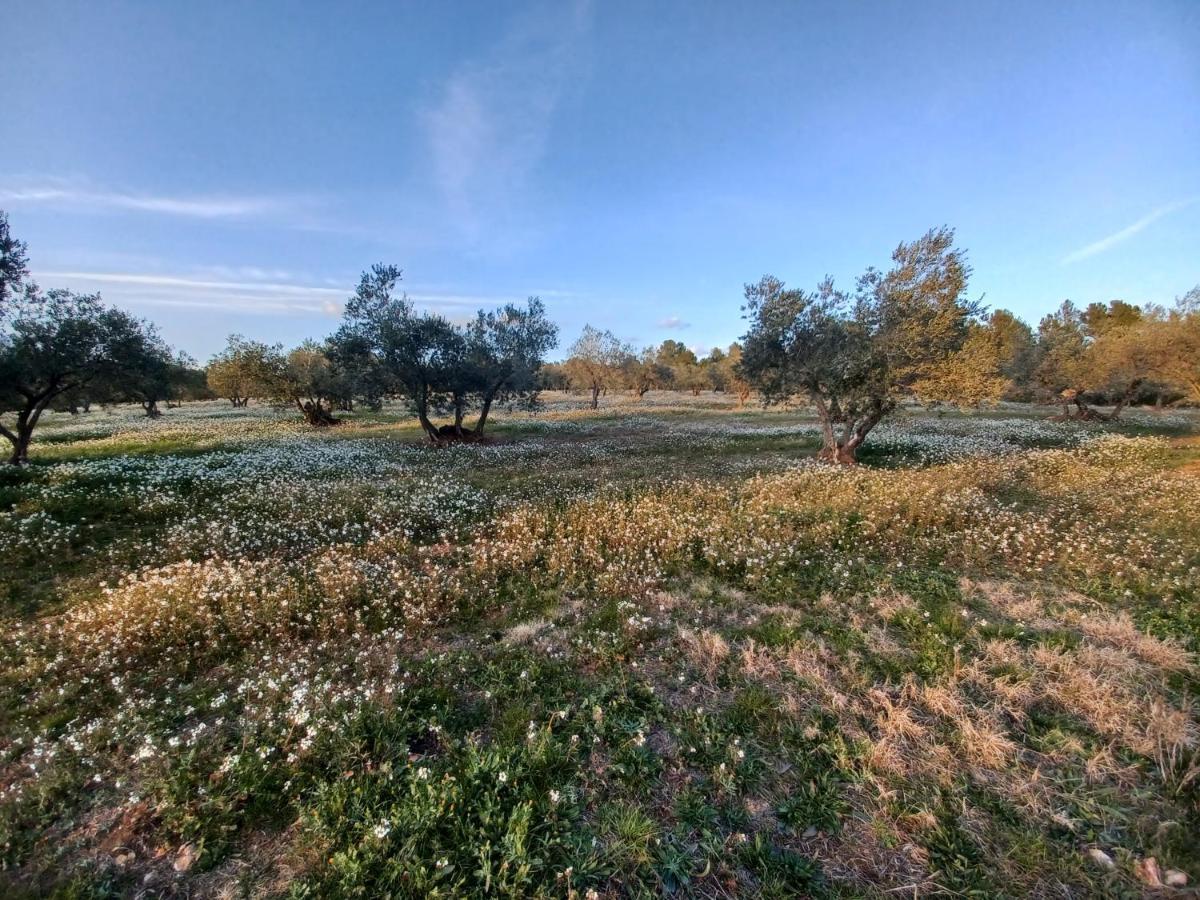 Avinyonet de Puigventós 3Natura מראה חיצוני תמונה